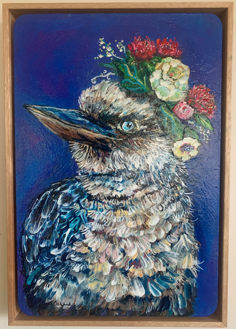 "How do I Look" Australian Blue Winged Kookaburra