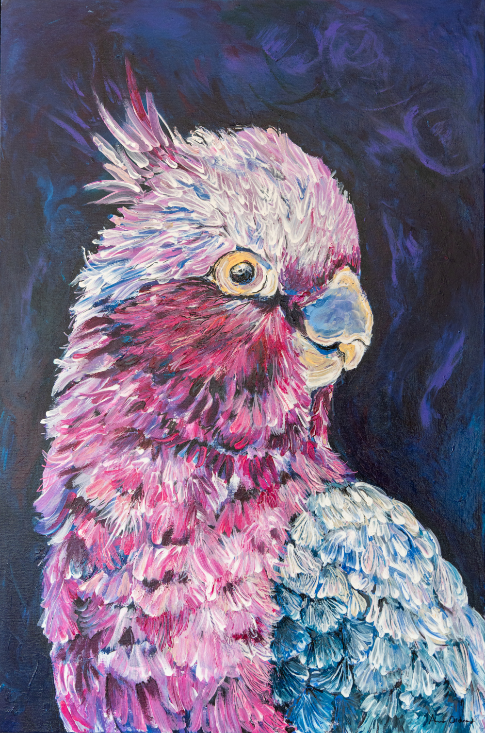 "Adorably Pink" Australian Galah