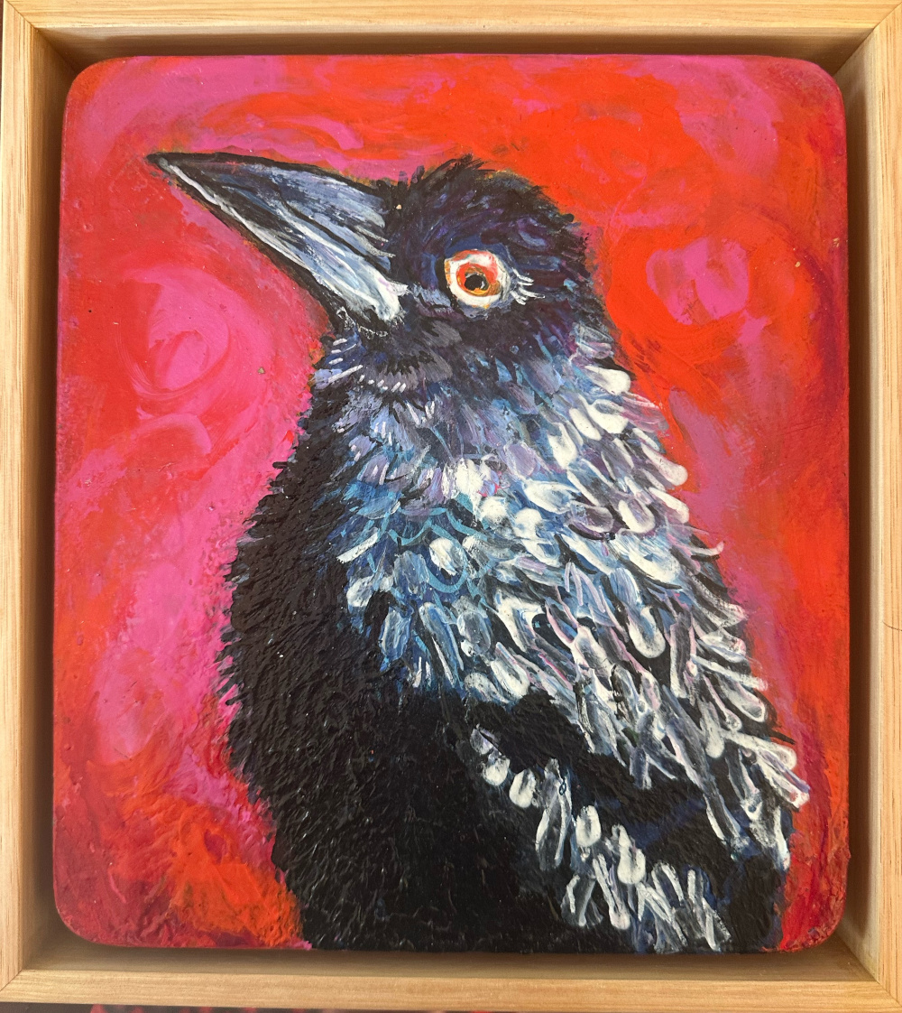 "The Sentry" Australian Currawong
